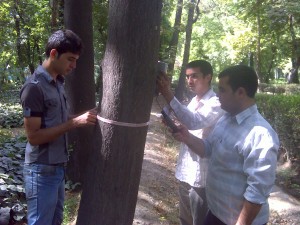نرم افزاری سورنا پردزاش آریا - پروژه پلاک کوبی الکترونیک  درختان تهران