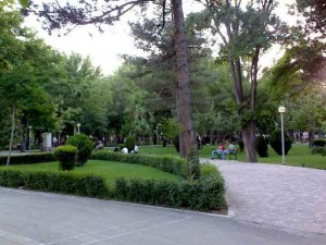 پروژه پلاک کوبی درختان منطقه 3 تهران - شرکت سورنا پردازش