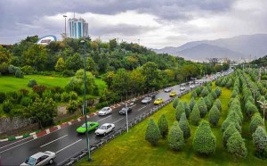 پروژه پلاک کوبی درختان منطقه 3 تهران - شرکت سورنا پردازش