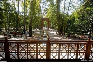 پروژه پلاک کوبی درختان منطقه 7 تهران - شرکت سورنا پردازش